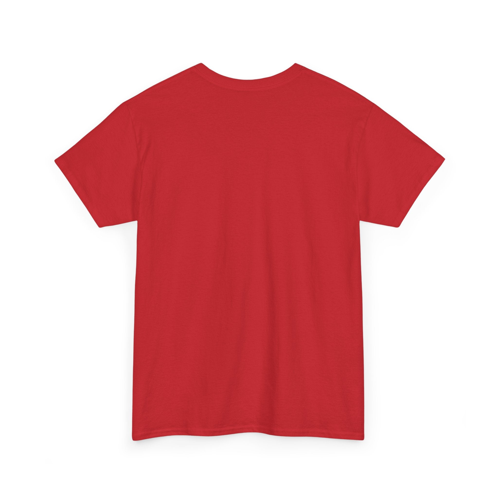 Painlace Tattoo Clothing Unisex Heavy Cotton Tee