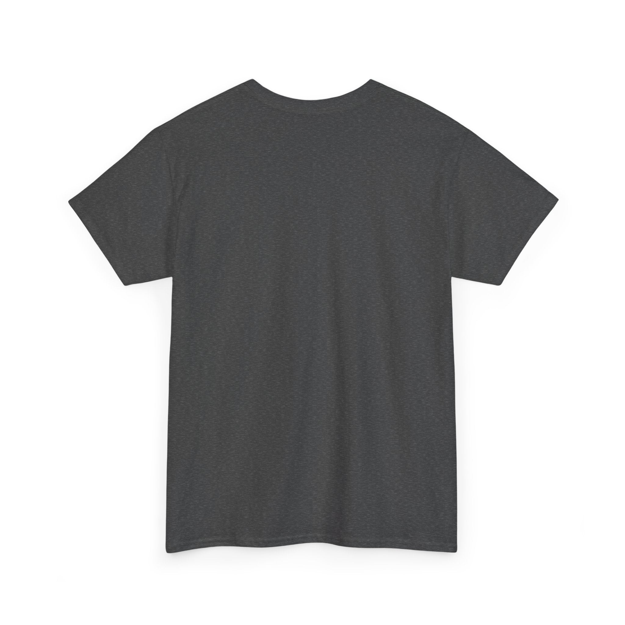 Painlace Tattoo Clothing Unisex Heavy Cotton Tee